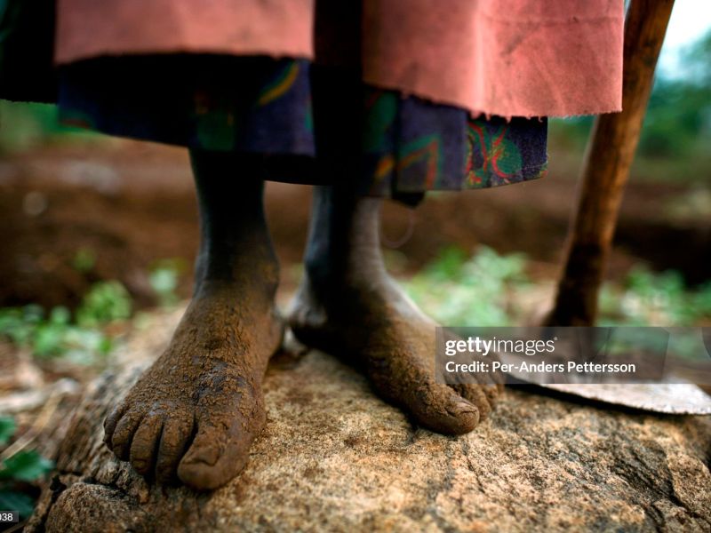 gettyimages 57522038 2048x2048